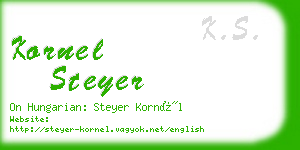 kornel steyer business card